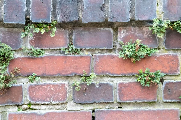 Kale duvarı gibi pürüzlü taşlarla kaplı büyük bir duvar, farklı tuğlalar, doğal arka plan ve kayalık antik zamanların duvarı, granit mineraller için eski dokular olarak taş gibi katı tuğlalar gösteriyor.