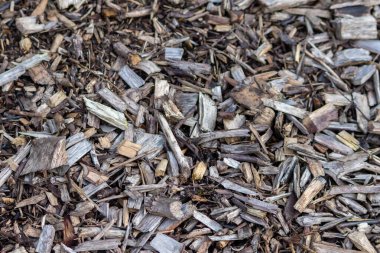 Parçalanmış ahşap ve odun kırıntıları, ezilmiş geri dönüşümden sonra, bir orman veya bahçede gübre veya ahşap malzemeden elde edilen gübre veya gübre içeren doğal bir patikayı ahşap parçalarla kabataslak yüzey deseni olarak gösteriyor.