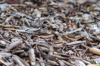 Parçalanmış ahşap ve odun kırıntıları, ezilmiş geri dönüşümden sonra, bir orman veya bahçede gübre veya ahşap malzemeden elde edilen gübre veya gübre içeren doğal bir patikayı ahşap parçalarla kabataslak yüzey deseni olarak gösteriyor.