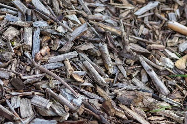 Madeira Desfiada Lascas Madeira Após Reciclagem Esmagada Mostra Caminho Natural — Fotografia de Stock