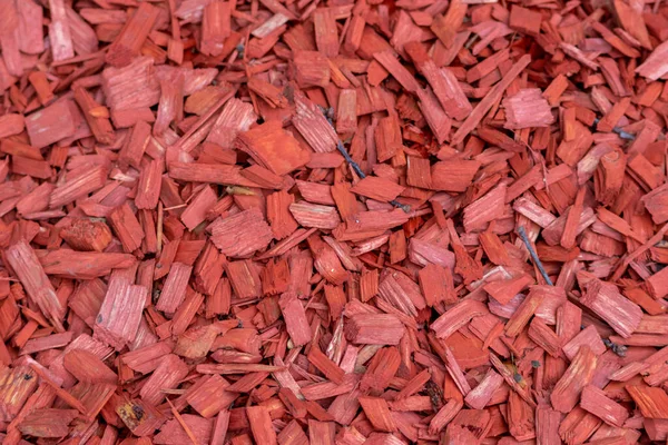 Rozdrobnione Fragmenty Czerwonych Wiórów Drzewnych Jako Czerwona Ścieżka Drzewna Wiórami — Zdjęcie stockowe