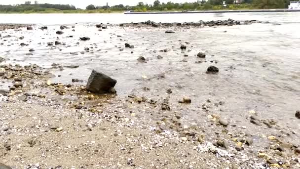 Inondation Ruisseau Fluvial Après Une Inondation Eau Avec Une Inondation — Video