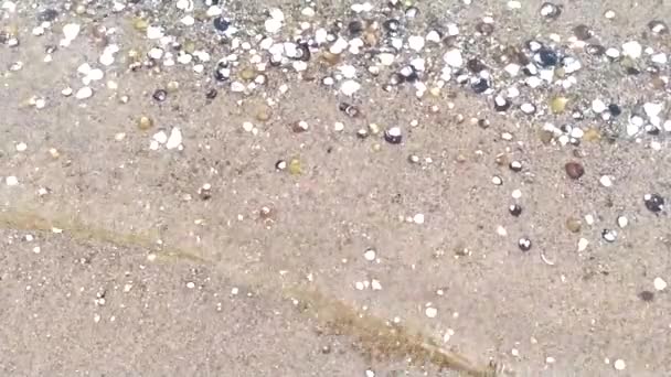 海滨平静的风景 波浪与贝壳点缀 尽显大海与河流轻松自在的假日 海滨背景的慢动作 有着无缝的回旋与卵石 — 图库视频影像