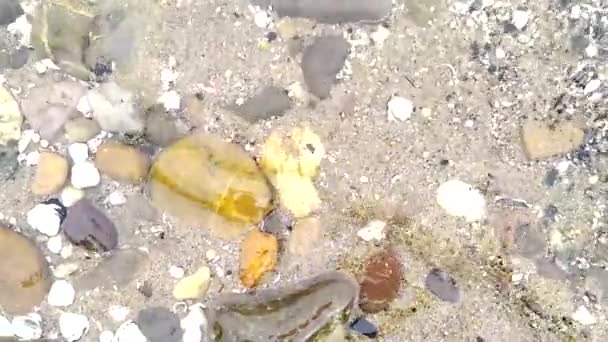 Paisagem Tranquila Costa Rio Com Pequenas Ondas Conchas Praia Mostra — Vídeo de Stock