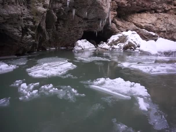 Umístění Republika Adygea Severní Kavkaz Hory Divoká Zvěř — Stock video