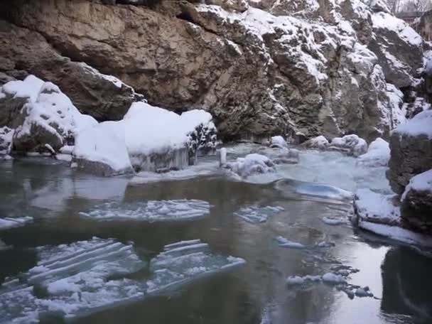 Lage Republik Adygäen Nordkaukasus Berge Und Tierwelt — Stockvideo