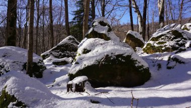 Kuzey Kafkasya 'daki inanılmaz doğal dünya. Adygea Cumhuriyeti, Khamyshki köyünün bir bölgesi. Kış. Kutanka Nehri Bölgesi.