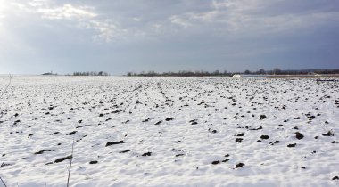 Rusya Bölgesi, Kuban, Krasnodar Bölgesi. Zengin tarihsel geçmişi olan en büyük tarım alanlarından biri.. 