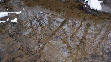 Adygea bölgesi, Kamennomostsky köyünün alanı. Kuzey Kafkasya 'nın şaşırtıcı doğal dünyası.