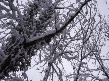 Adygea bölgesi, Kamennomostsky köyünün alanı. Kuzey Kafkasya 'nın şaşırtıcı doğal dünyası. Kış zamanı..