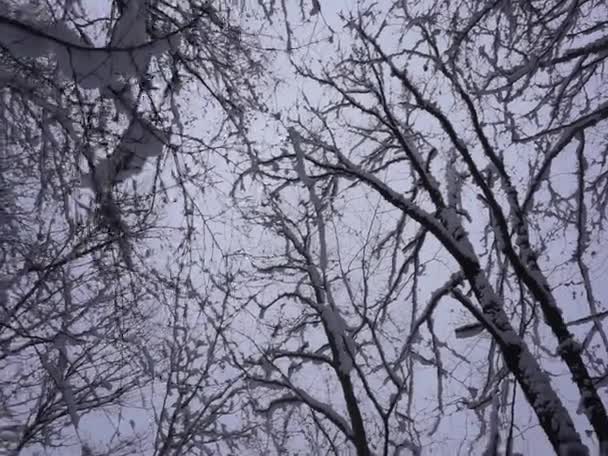 Adygea Bölgesi Kamennomostsky Köyünün Alanı Kuzey Kafkasya Nın Şaşırtıcı Doğal — Stok video