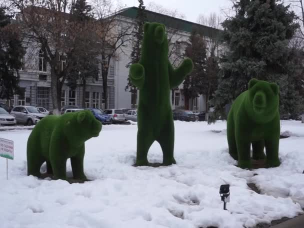 Locatie Noord Kaukasus Hoofdstad Van Republiek Adygea Stad Maykop Winter — Stockvideo