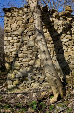 Kuzey Kafkasya, Adygea Cumhuriyeti. Terk Edilmiş Aul Khakodz Bölgesi. 