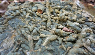 konum - Rusya, Krasnodar Bölgesi, Inal Körfezi, Karadeniz. 