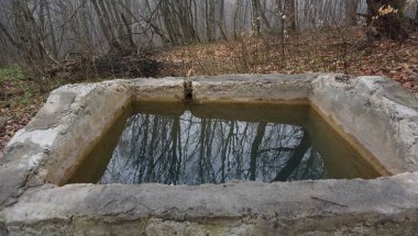 Rusya, Adygea Cumhuriyeti, Lago Naki Upland bölgesi. Dağlık bölgede bahar sonu.. 