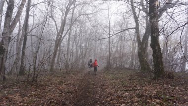 Rusya, Adygea Cumhuriyeti, Lago Naki Upland bölgesi. Dağlık bölgede bahar sonu.. 