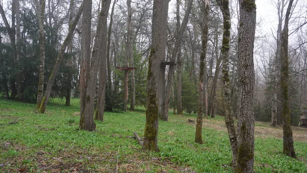 Plats Ryssland Republiken Adygea Lago Naki Upland Området Sen Vår — Stockfoto