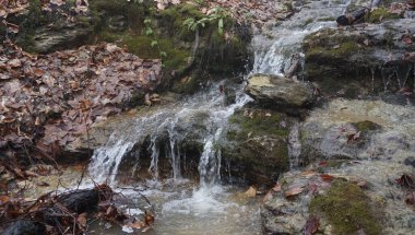 Rusya, Adygea Cumhuriyeti, Lago Naki Upland bölgesi. Dağlık bölgede bahar sonu.. 
