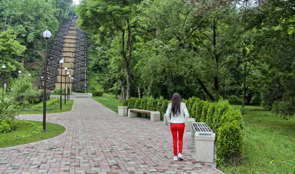 Plats Nordkaukasien Republiken Adygea Observation Trappa Nära Staden Maykop Stockbild