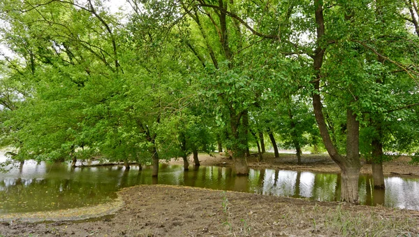 Adygea Cumhuriyeti Bölgesi Kuban Nehri Boyunca Bozuk Para Sel Basmış — Stok fotoğraf