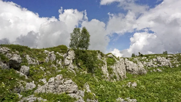 Local Highlands Lago Naki Melhor Turismo Montanha República Caucasiana Adygea — Fotografia de Stock