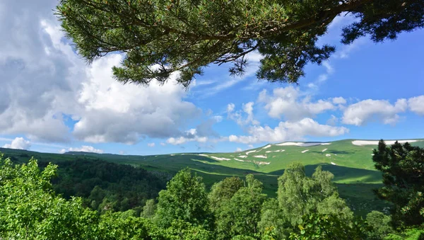 Läge Höglandet Lago Naki Det Bästa Bergsturism Den Kaukasiska Republiken Stockfoto