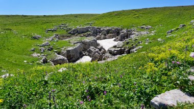 Lago Naki 'nin dağlık arazisi. Kafkas Cumhuriyeti 'ndeki en iyi dağ turizmi Aygea' da. 