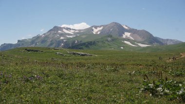 Lago Naki 'nin dağlık arazisi. Kafkas Cumhuriyeti 'ndeki en iyi dağ turizmi Aygea' da. 