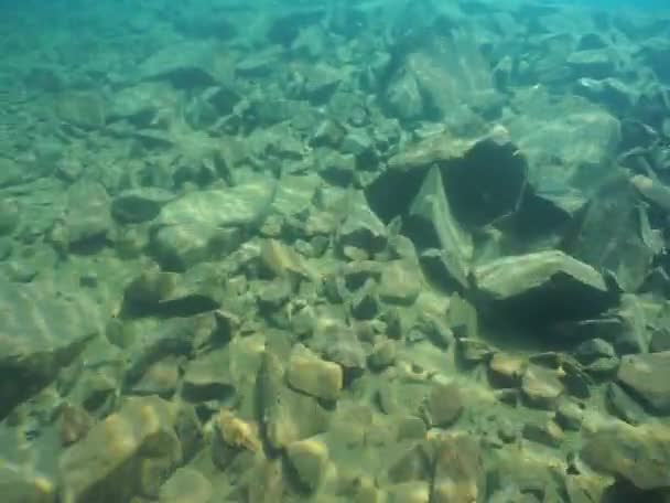 Υποβρύχια Κόσμο Των Λιμνών Τοποθεσία Ρωσία Δημοκρατία Καραχάι Τσερκές Κοντά — Αρχείο Βίντεο