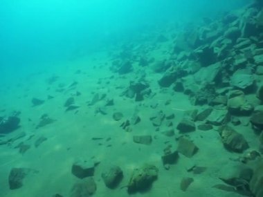 Dağ göllerinin sualtı dünyası. Konum: Rusya, Karachay-Çatısız Cumhuriyet. Aksaut Nehri 'nin yanındaki vadide. Kyngyrchat Gölü. 