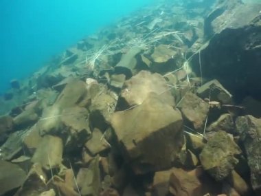 Dağ göllerinin sualtı dünyası. Konum: Rusya, Karachay-Çatısız Cumhuriyet. Aksaut Nehri 'nin yanındaki vadide. Kyngyrchat Gölü. 