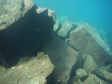 Dağ göllerinin sualtı dünyası. Konum: Rusya, Karachay-Çatısız Cumhuriyet. Aksaut Nehri 'nin yanındaki vadide. Kyngyrchat Gölü. 