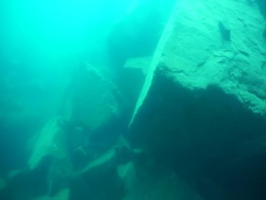 Dağ göllerinin sualtı dünyası. Konum: Rusya, Karachay-Çatısız Cumhuriyet. Aksaut Nehri 'nin yanındaki vadide. Kyngyrchat Gölü. 