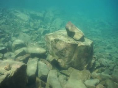 Dağ göllerinin sualtı dünyası. Konum: Rusya, Karachay-Çatısız Cumhuriyet. Aksaut Nehri 'nin yanındaki vadide. Kyngyrchat Gölü. 