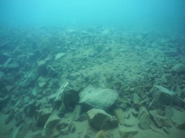 Dağ göllerinin sualtı dünyası. Konum: Rusya, Karachay-Çatısız Cumhuriyet. Aksaut Nehri 'nin yanındaki vadide. Kyngyrchat Gölü. 