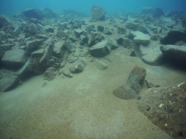 Dağ göllerinin sualtı dünyası. Konum: Rusya, Karachay-Çatısız Cumhuriyet. Aksaut Nehri 'nin yanındaki vadide. Kyngyrchat Gölü. 