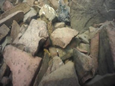 Dağ göllerinin sualtı dünyası. Konum: Rusya, Karachay-Çatısız Cumhuriyet. Aksaut Nehri 'nin yanındaki vadide. Kyngyrchat Gölü. 