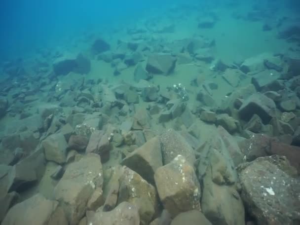 Unterwasserwelt Der Bergseen Standort Russland Republik Karatschai Tscherkess Nahe Dem — Stockvideo
