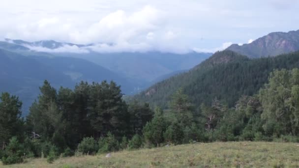 Plats Ryssland Karachay Tjerkess Republiken Ascent Från Aksaut Floddal Nära — Stockvideo