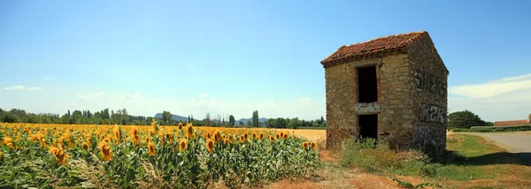 France - Provence — Stock Photo, Image