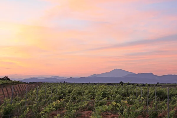 Frankrijk - Mont Ventoux — Stockfoto