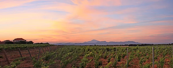 Frankrijk - Mont Ventoux — Stockfoto