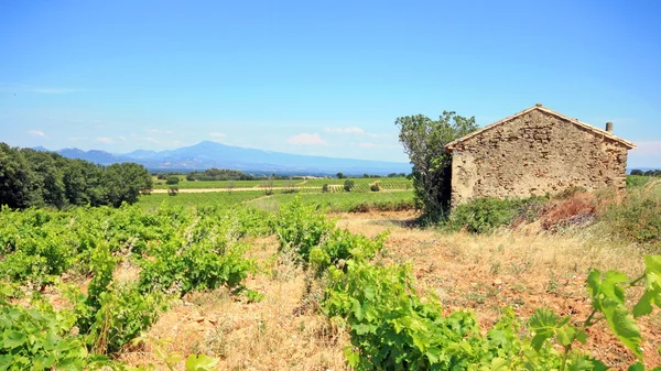 Γαλλία - Chateauneuf du Pape — Φωτογραφία Αρχείου