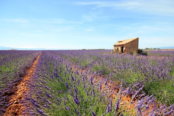 Francja - Valensole — Zdjęcie stockowe