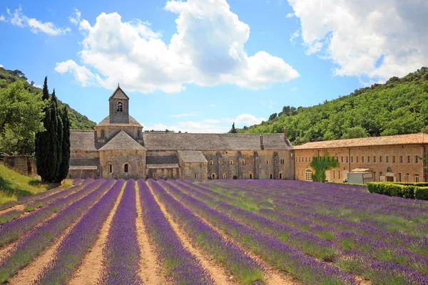 France - Abbaye de Sénanque — Zdjęcie stockowe