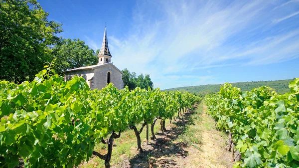 Frankrijk - Chartreuse de la Valbonne — Stockfoto