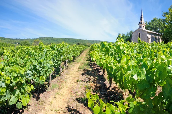 Frankrijk - Chartreuse de la Valbonne — Stockfoto