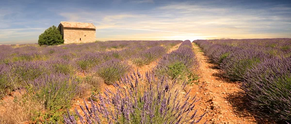 Franciaország - Provence — Stock Fotó