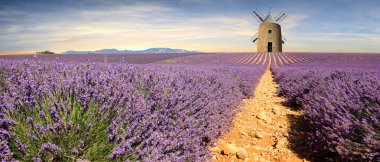 France - Provence clipart