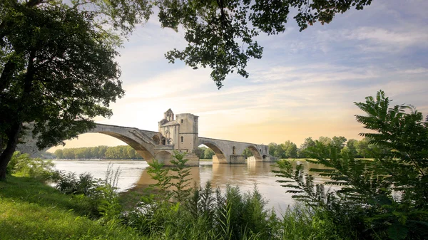 France - avignon — Photo